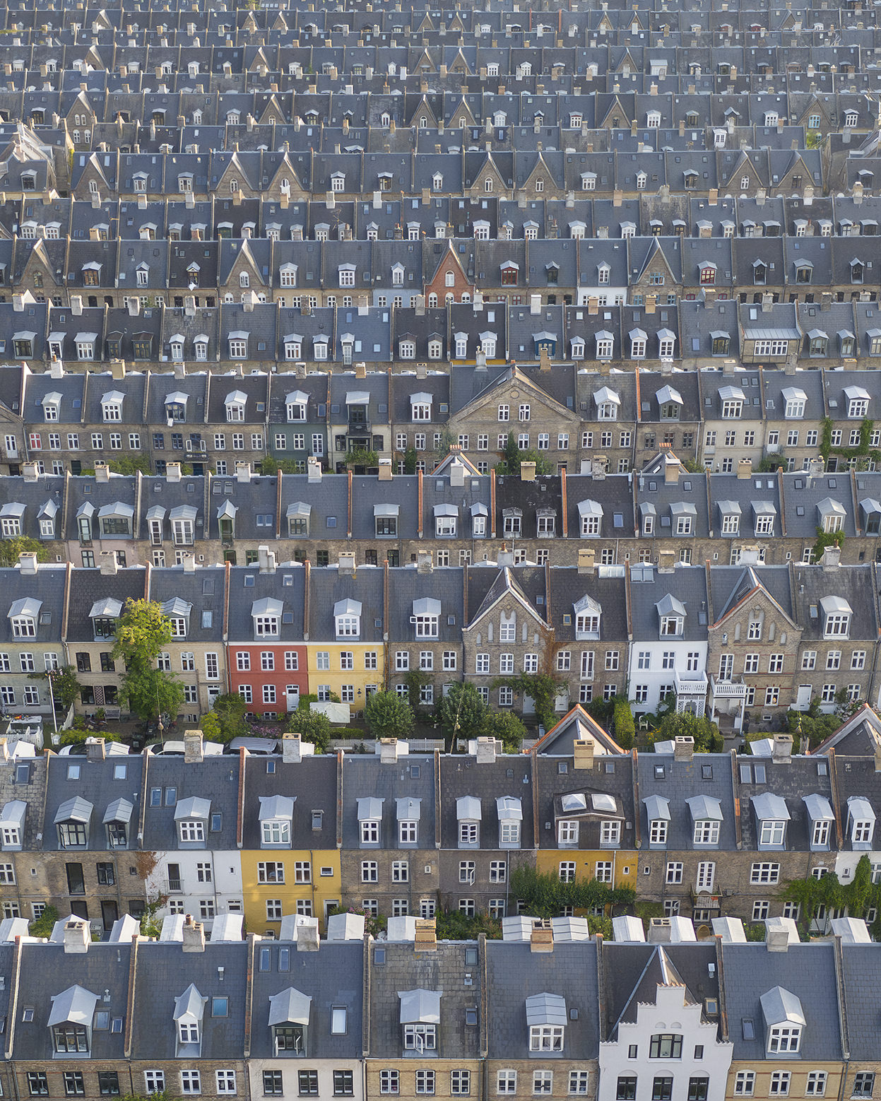 Denmark, 2025 | Piotr Bratosiewicz