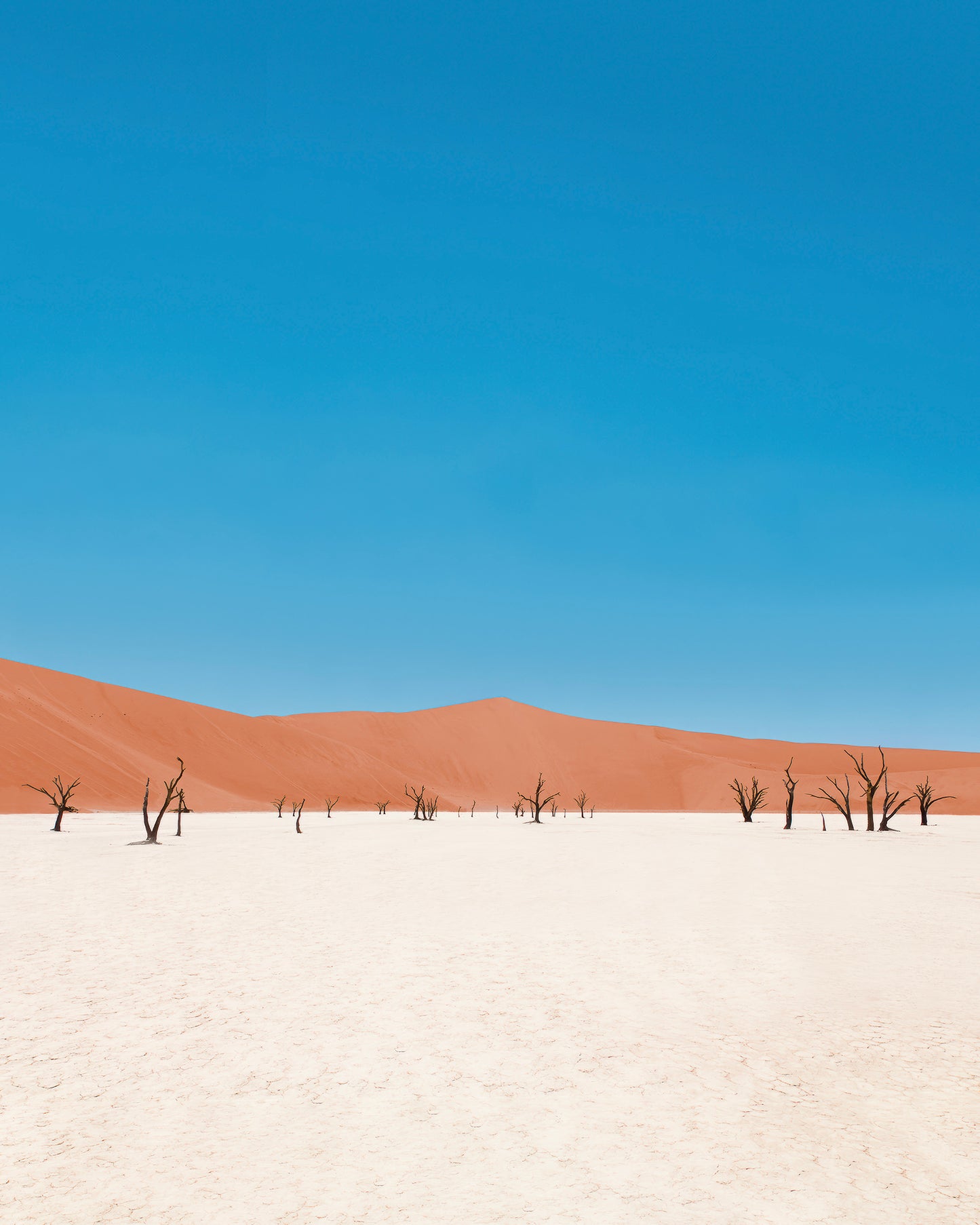 Namibia, 2016 | Piotr Bratosiewicz