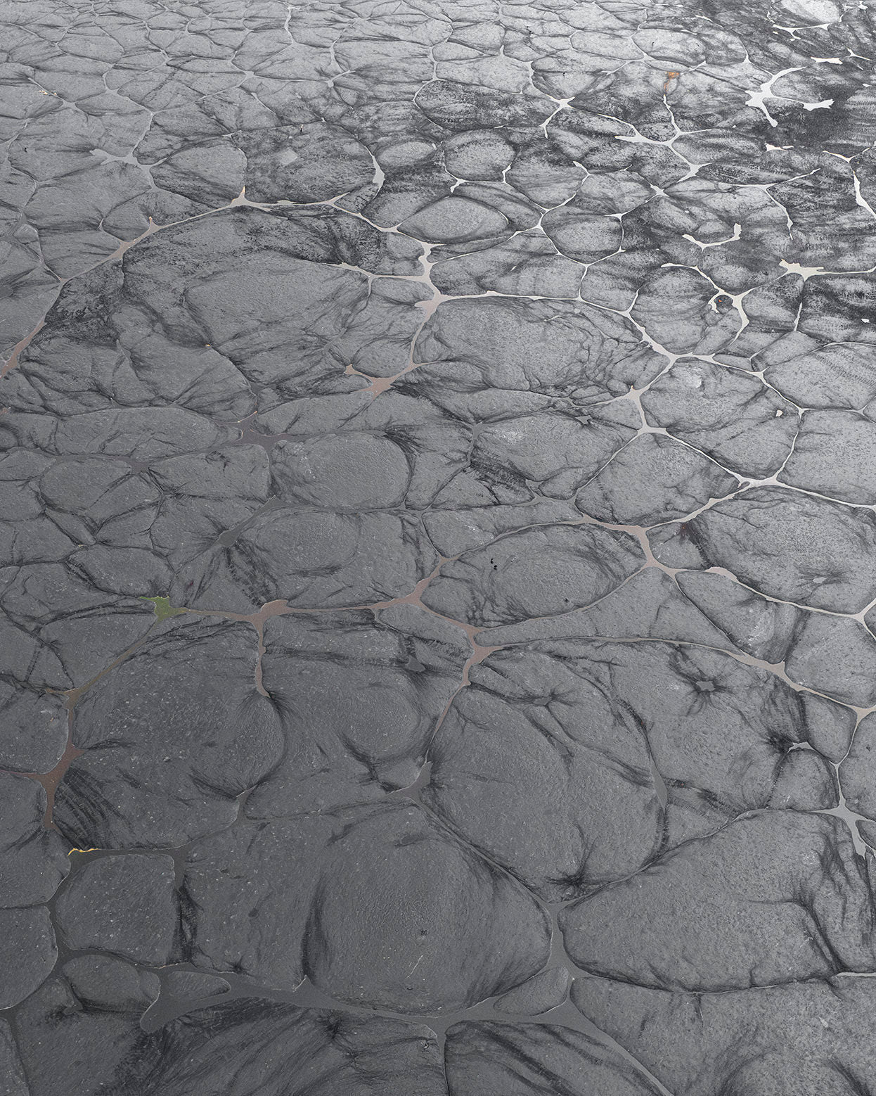 Trynidad, 2025 | Piotr Bratosiewicz