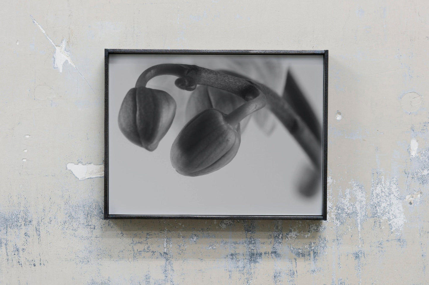 Nodes, I | Agnieszka Mastalerz | OprawionaPrint+Oprawa - Banda Editions