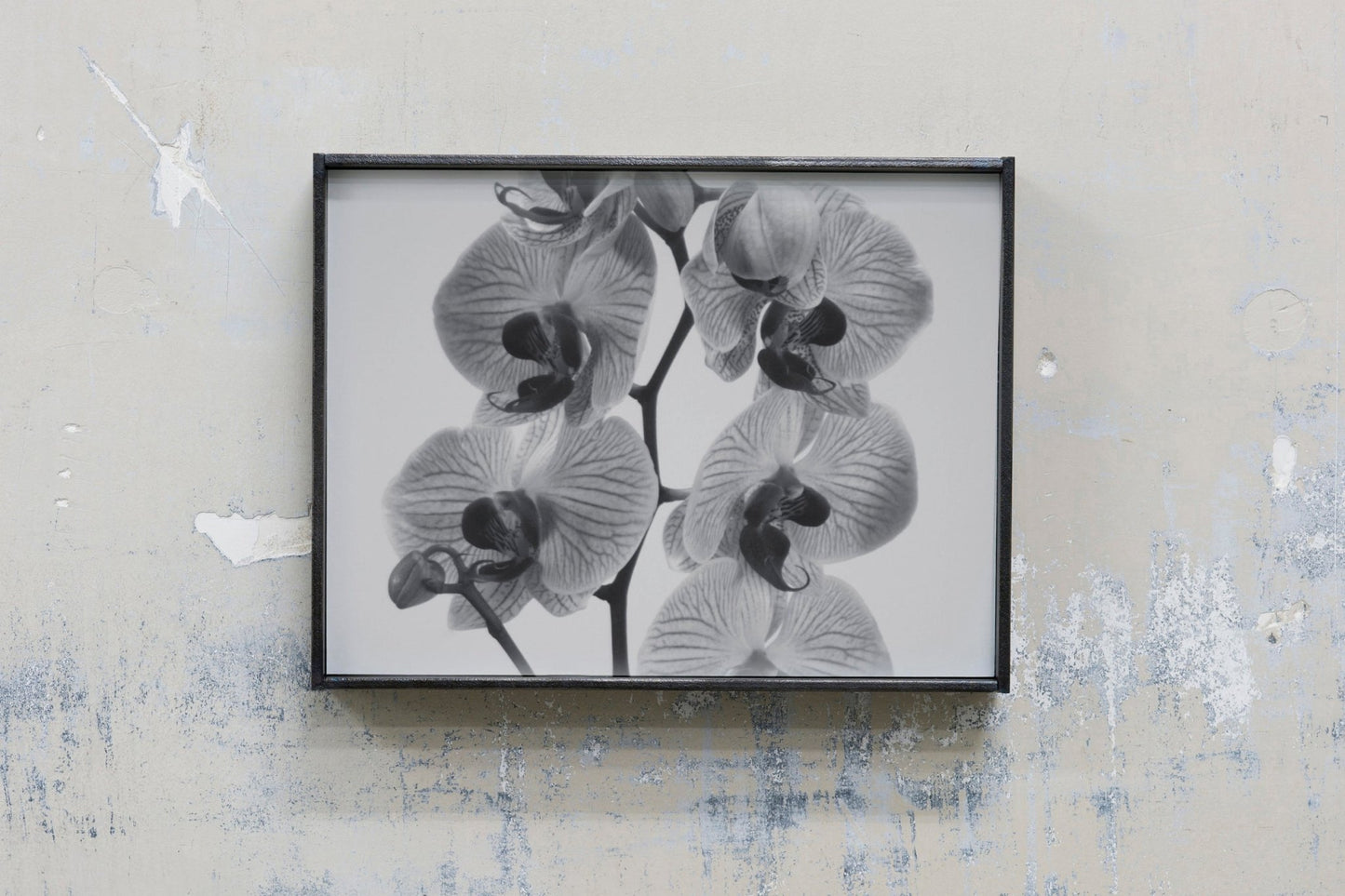 Nodes, V | Agnieszka Mastalerz | OprawionaPrint - Banda Editions
