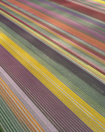 Holandia, 2021 | Piotr Bratosiewicz