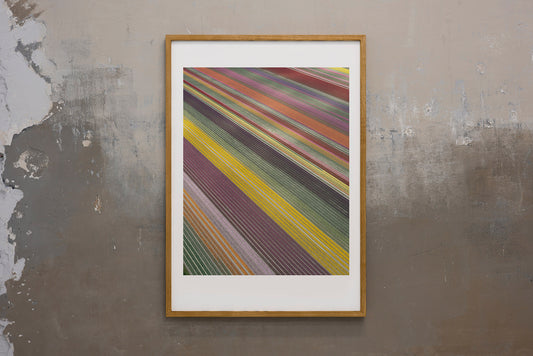 Holandia, 2021 | Piotr Bratosiewicz