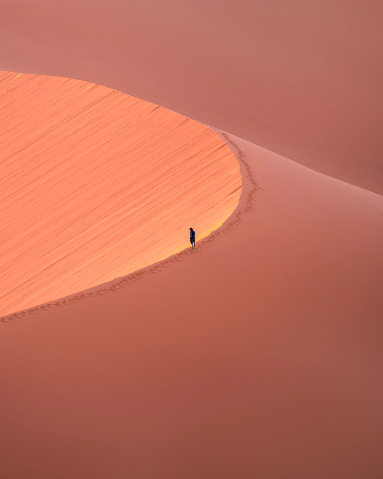 Algieria, 2024 | Piotr Bratosiewicz