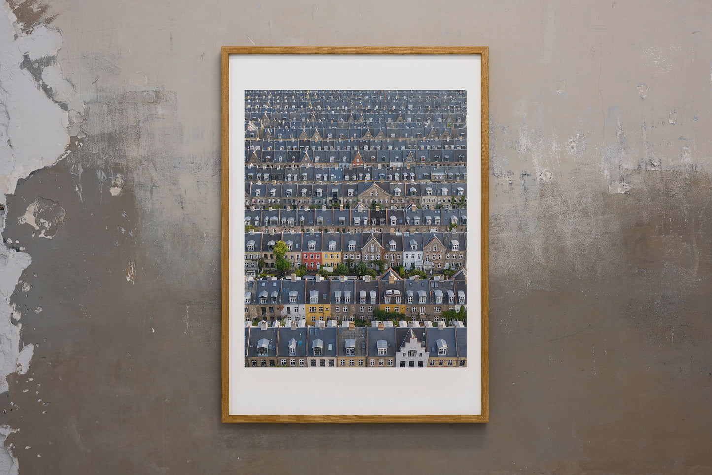 Dania, 2025 | Piotr Bratosiewicz