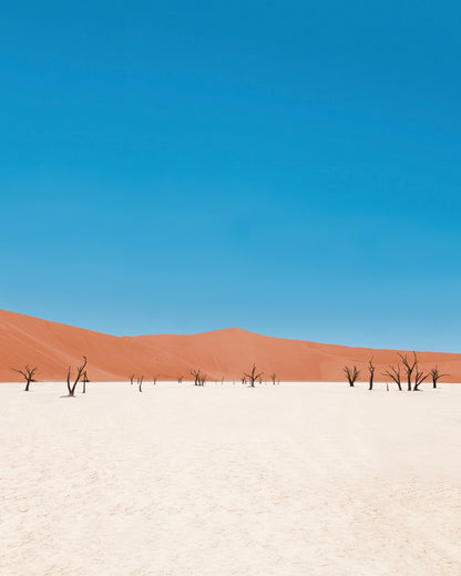 Namibia, 2016 | Piotr Bratosiewicz