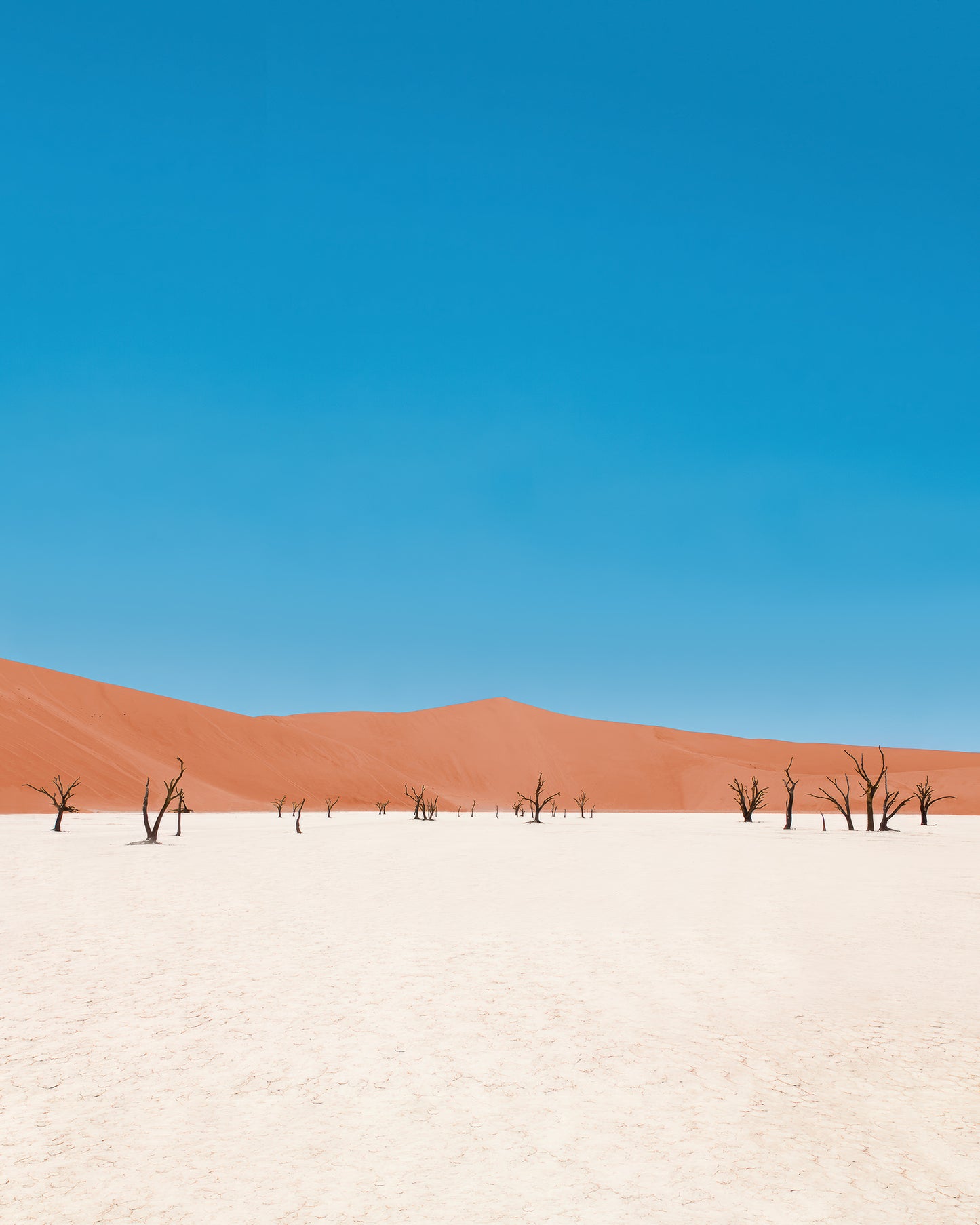 Nambia, 2016 | Piotr Bratosiewicz