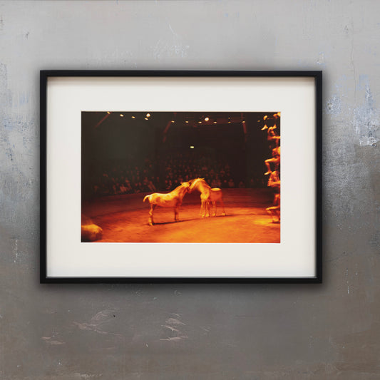 Triptych, Zingaro Equestrian Theater, Paris, 2004 Nan Goldin