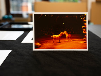 Triptych, Zingaro Equestrian Theater, Paris, 2004 Nan Goldin